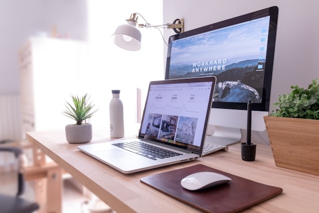 home office desk with monitor and laptop water bottle plants
